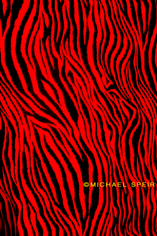zebra wallpaper. 13-Zebra-Wallpaper-Red