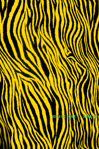 wallpaper yellow. 15-Zebra-Wallpaper-Yellow